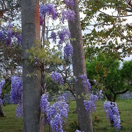 Tatil Evi Trulli Millefiori *